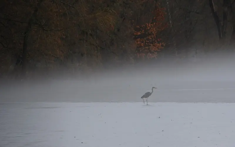 挽回爱情之逆转高低位的先决条件