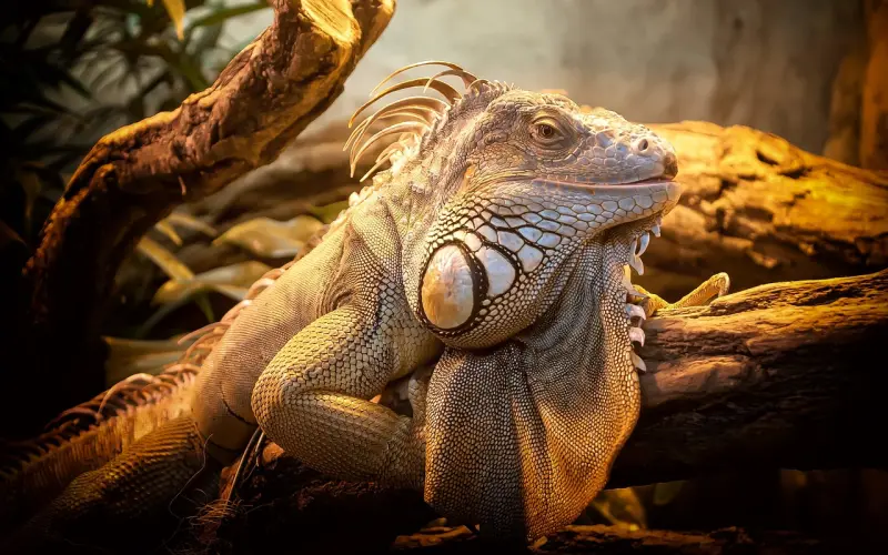 【爱情之所以为爱情】