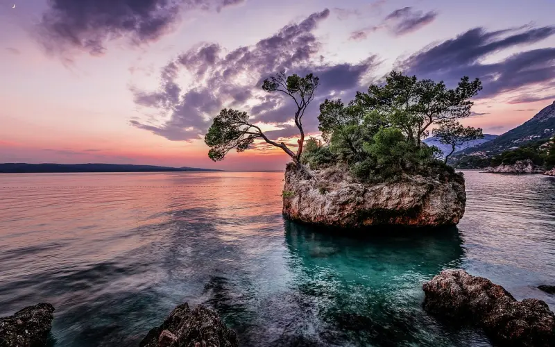 夫妻关系第一，亲子关系第二，亲密的夫妻关系是送给孩子最好的礼物