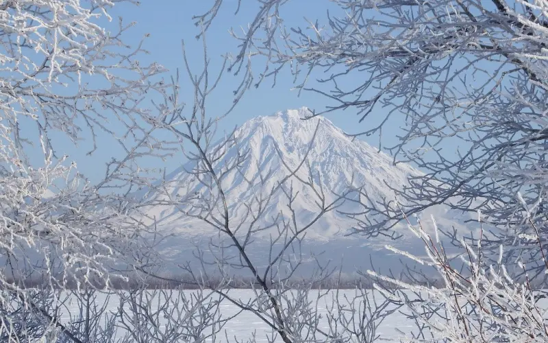 冷冻在挽回爱情中起到的作用