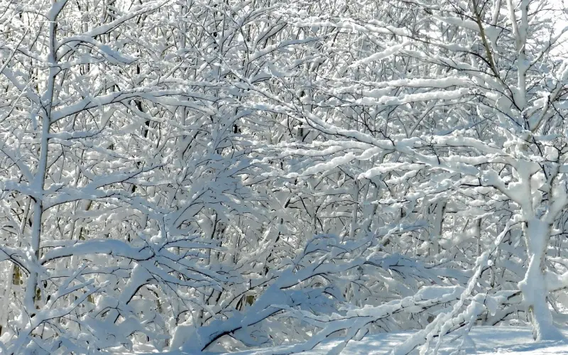 冷冻在挽回爱情中起到的作用