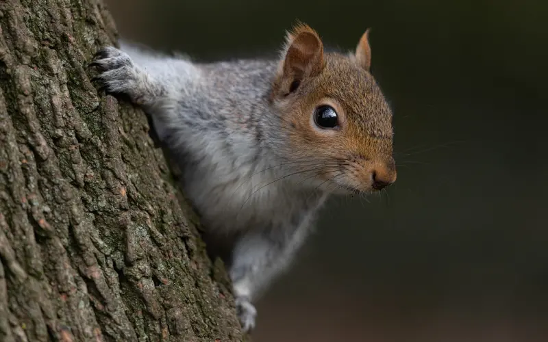 挽回爱情秘诀——变被动为主动