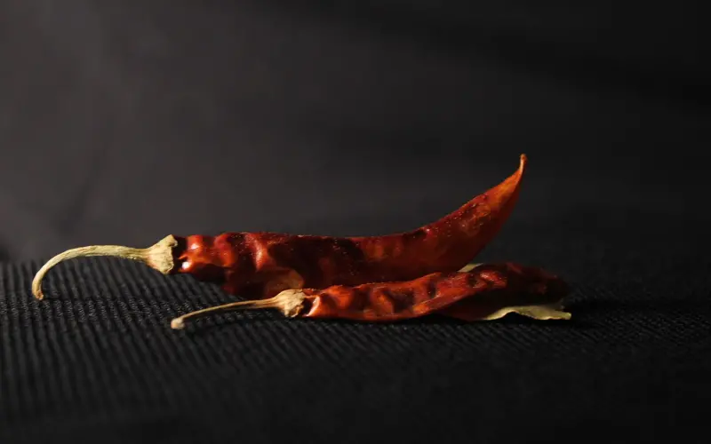 搞定辣妹的制胜宝典大公开