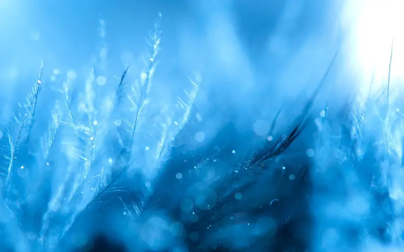 人，越朴素，越高贵