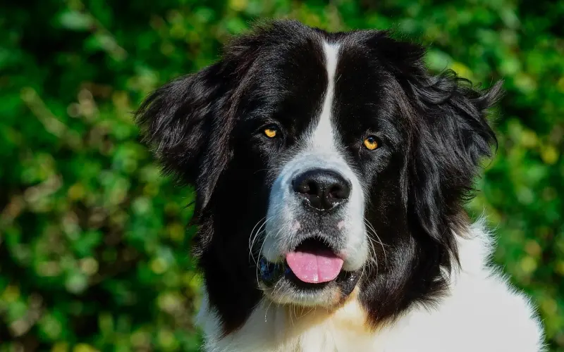 重获情感自由的小地主