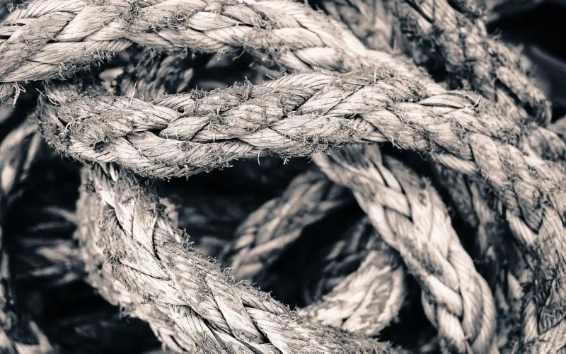 爱一个男人最聪明的做法，不是拼尽全力，而是善于借力