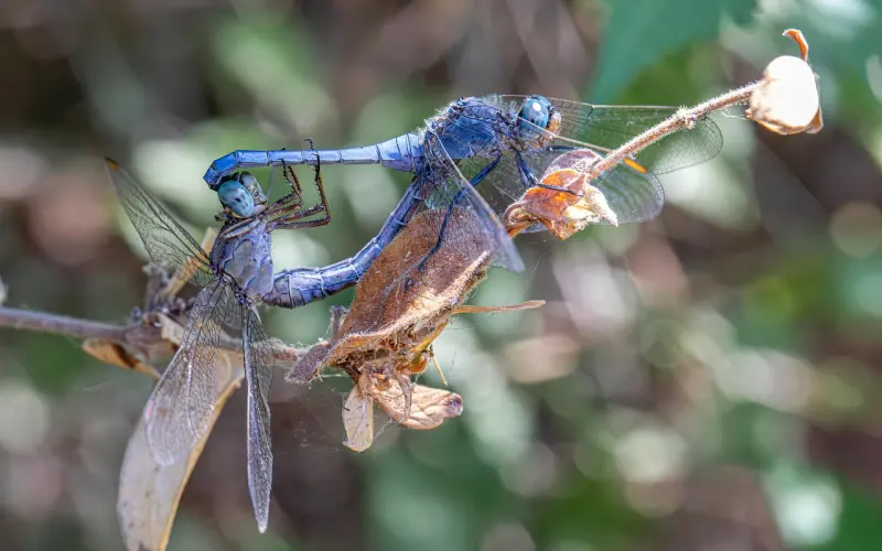 所谓渣男是，渣还觉得自己很潇洒