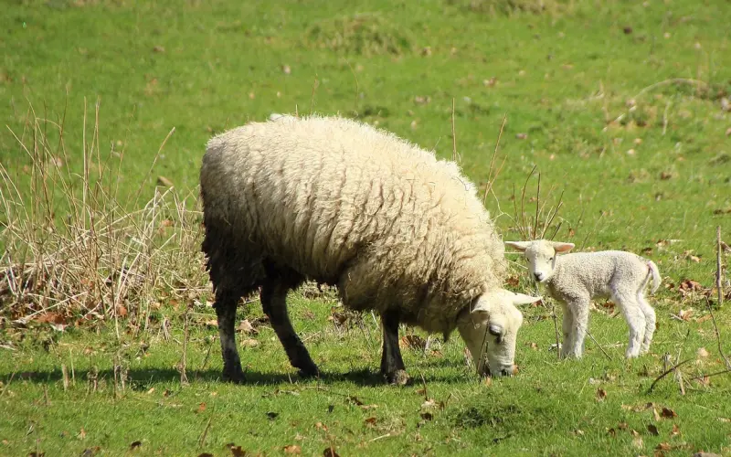 分手后越早做这几件事，越容易刷新前任对你的感官认知！