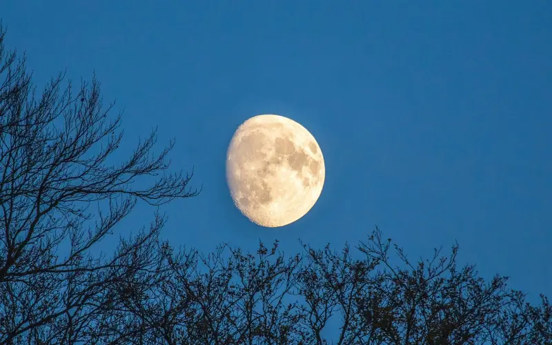 最强改造：一个博士学员的情感蜕变