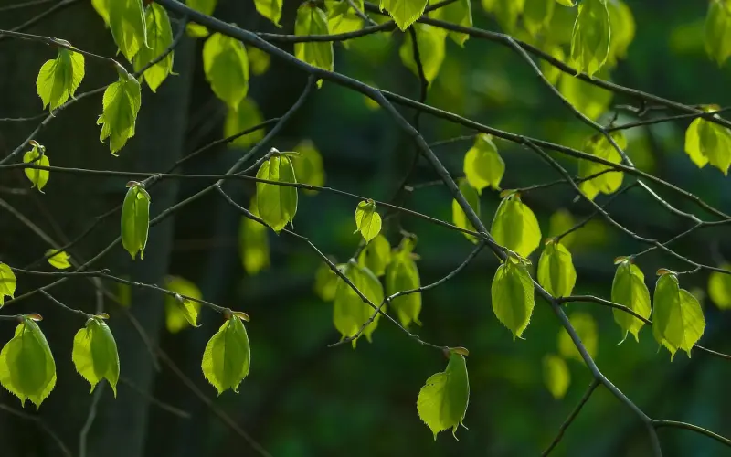 阳光灿烂的处男时代——「全民情敌 · 十二」