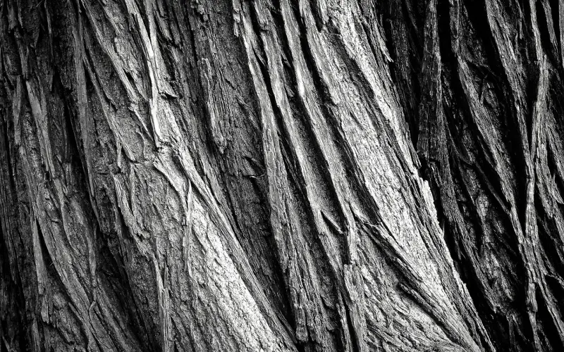 和女生聊天的表面意思VS内心含义