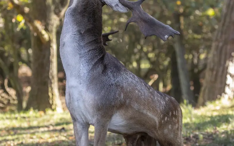挽回五阶段之三，明白什么才是对方真正想要的