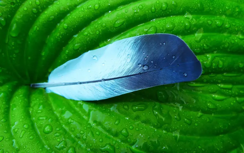 留住男人最好用的三个套路，聪明女人撩汉必学！