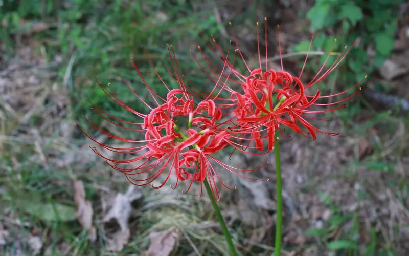 一切情感问题的真相