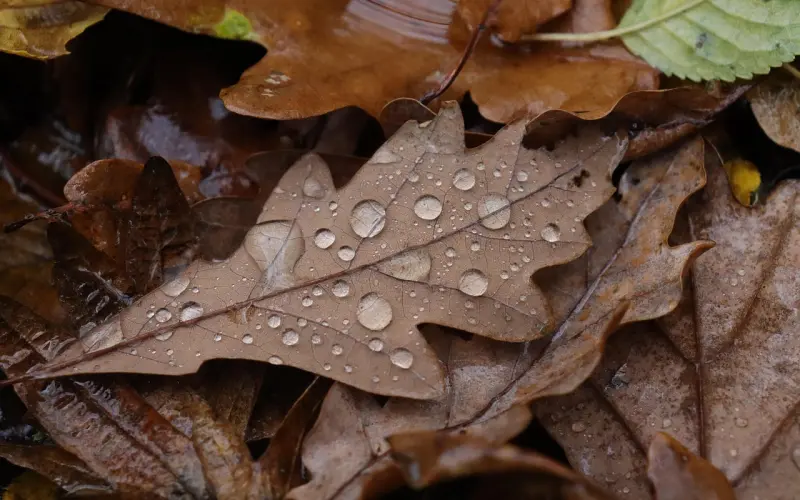 挽回的终极奥义！你知道吗？