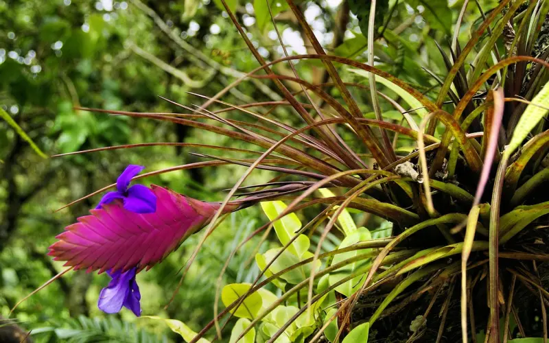 你遇到过的最奇葩的分手理由