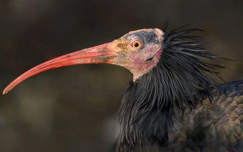 全程聊骚聊天记录，湿润必学！！