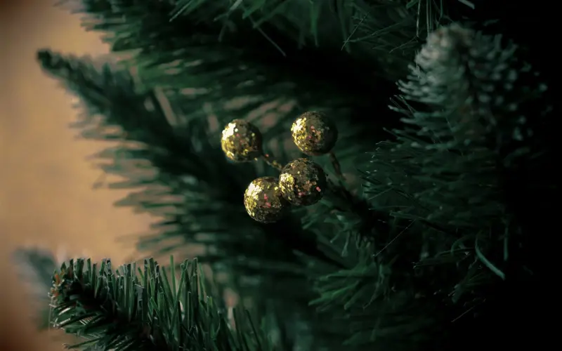 妻子为满足丈夫吃避孕药12年，结果竟然....