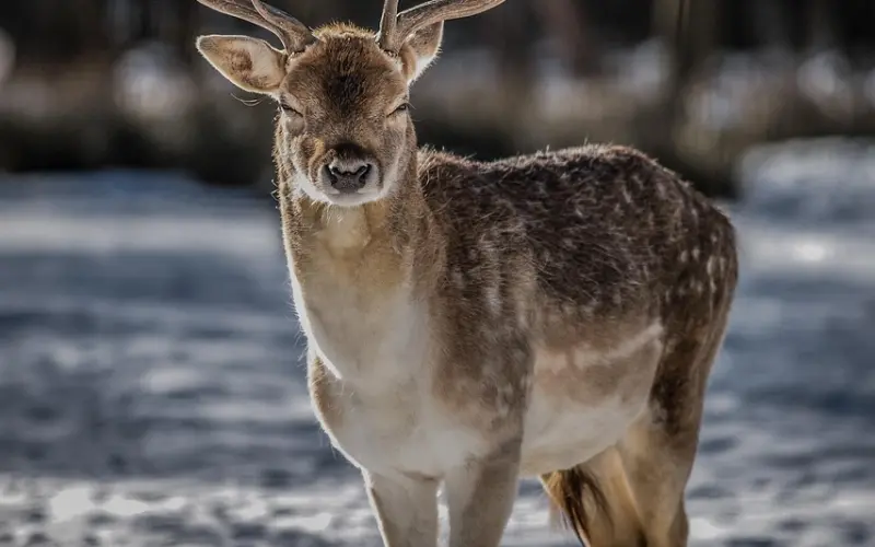 喜欢发朋友圈的女人，竟然是这种人！