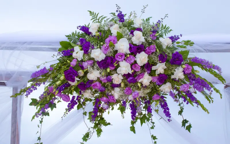 那个想嫁给爱情的女人，最终嫁给了钱