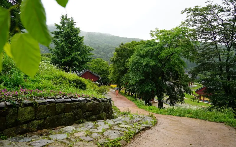 分手后挽回女友的话，句句深情，看完后感到哭