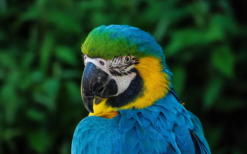 男生和女朋友同居后的世界