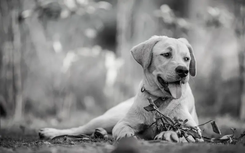 女生和男朋友同居后的世界 单身狗慎入...