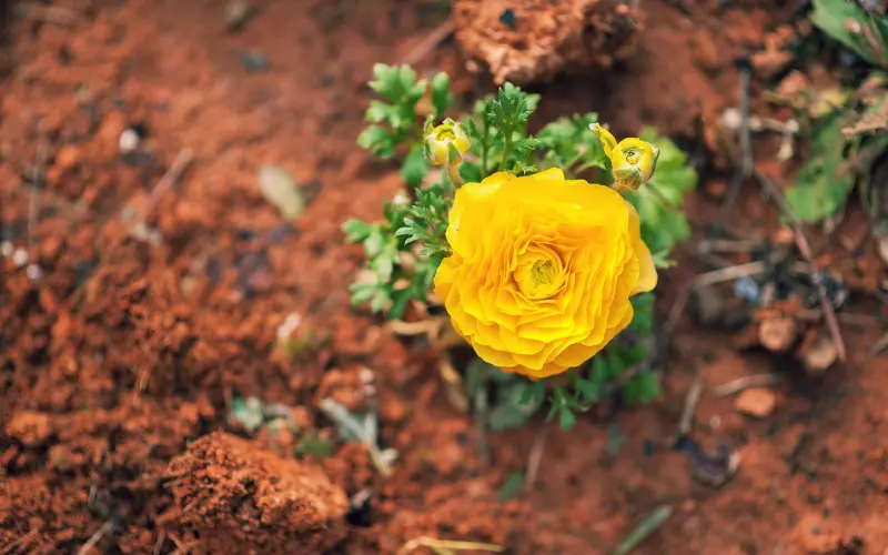 热映8.6分爱情电影《超时空同居》里，85％你学不会的地方