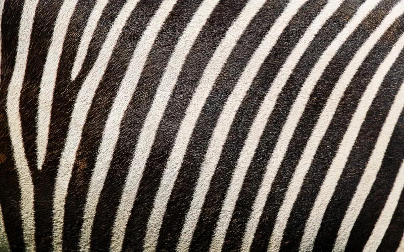 婚前一定要对男人进行4大检查，尤其是第4条！