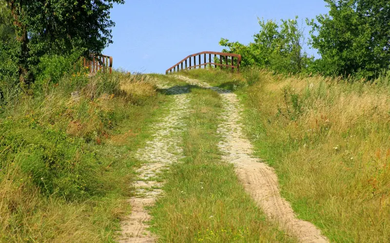 挽回有方法助你早日挽回他的心