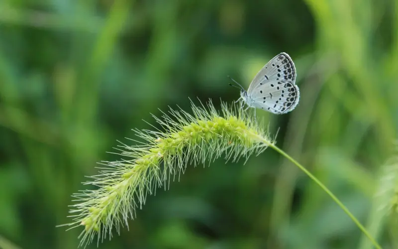 有一种出轨最容易小三上位