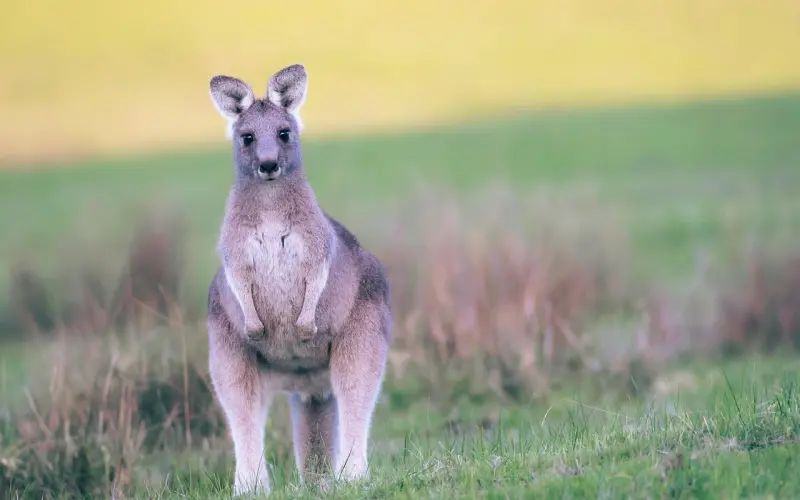 有一个住进心里的人，今生无缘夫妻，却一生默默相守！