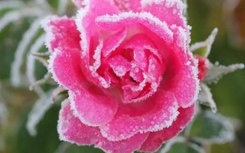 最近抖音上很火的伤感说说，让人心酸流泪！