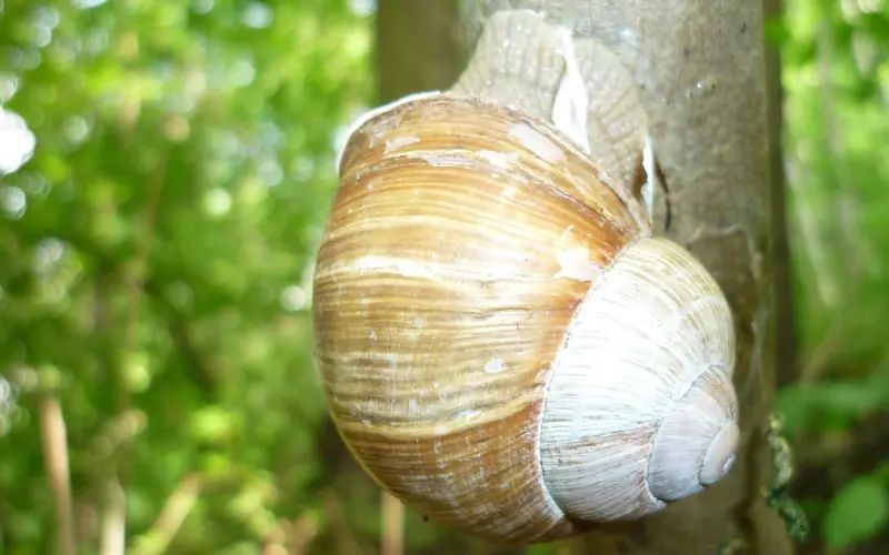 谁也不用瞧不起谁，我的处境换你，你未必承受得起！