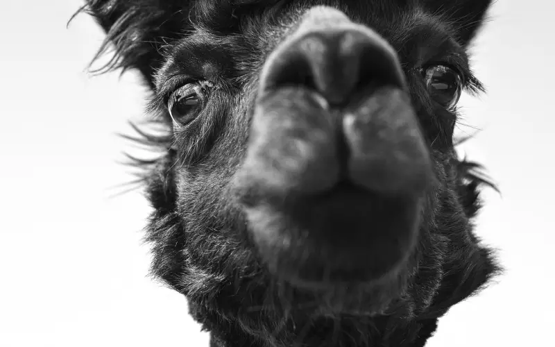 比被喜欢的男生拒绝更难过的事