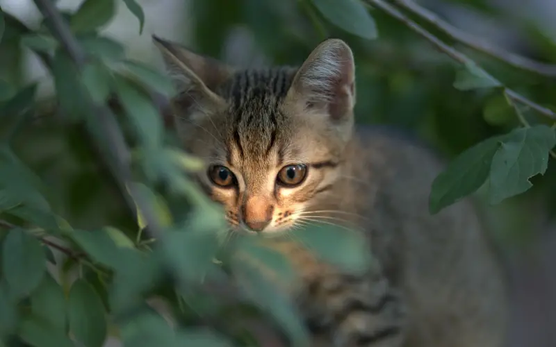 这三种感情真的没必要挽回了
