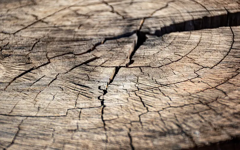 男人这4个表现，表面看着爱你，其实是“逢场作戏”，女人别不懂