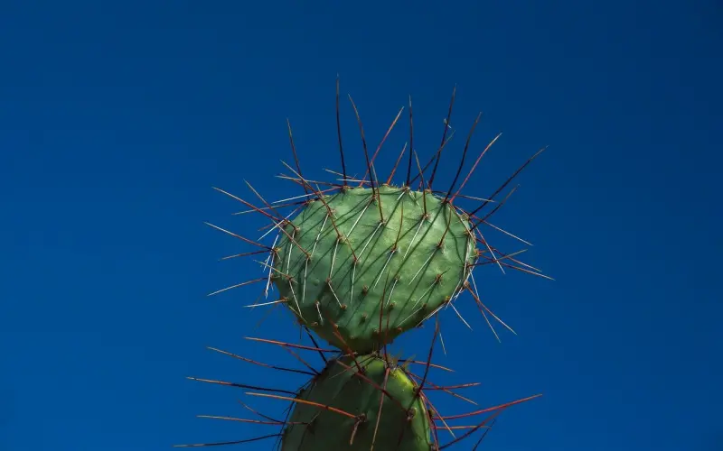 微信上，女人的这4句话，暗示她对你动了心