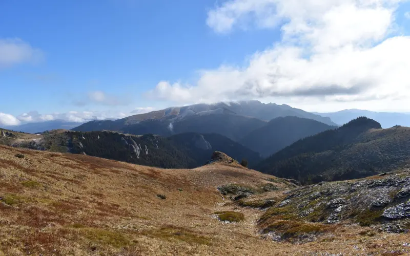 这4种类型的女人，只会离幸福越来越远