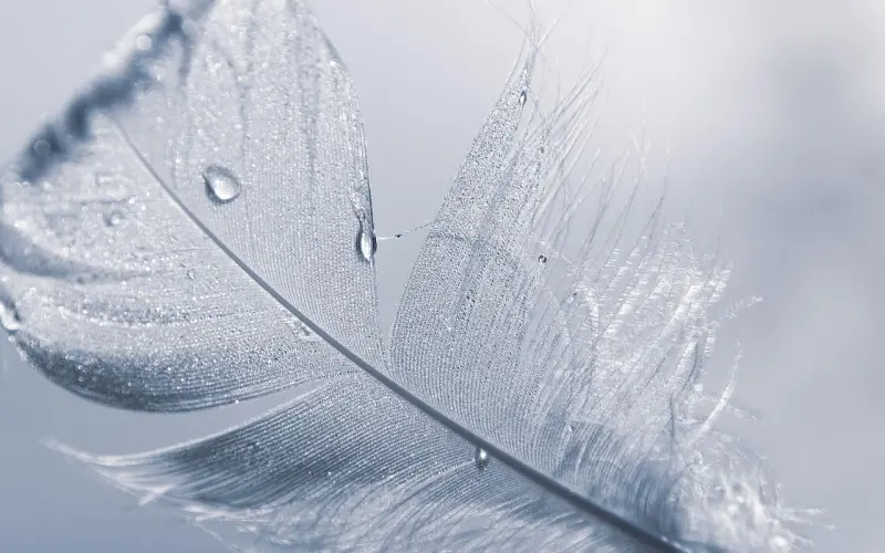 男女交往，最忌讳这3个字。