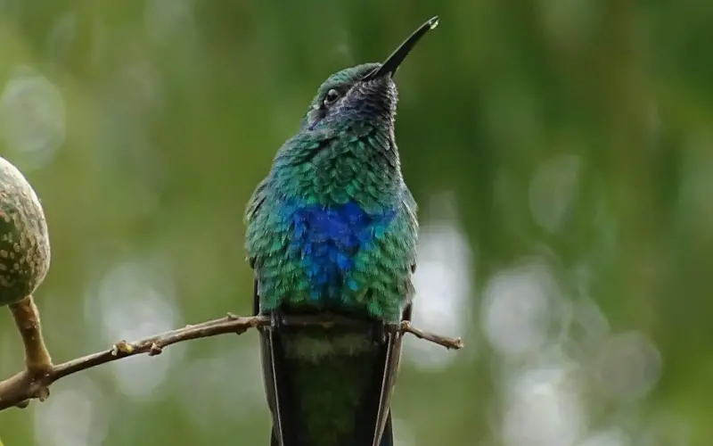 这几招聊天技巧，让女生暧昧着跟你说晚安