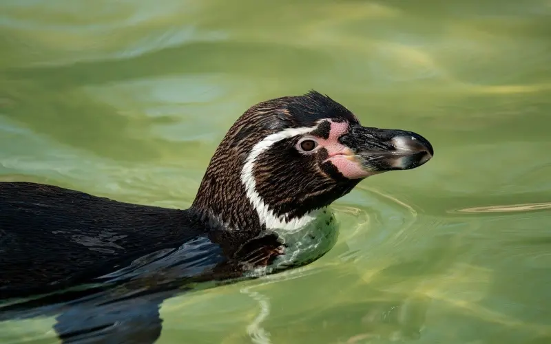 这些女生都「不会和你」有性生活