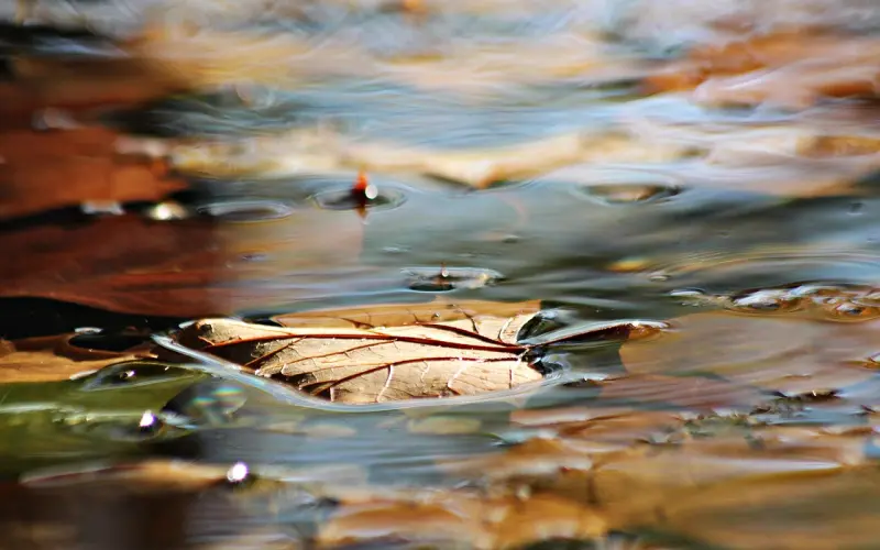 这六种表现会让男人对你彻底死心，难怪他会狠心离开你