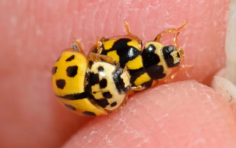 这十点看出男人是否成熟！