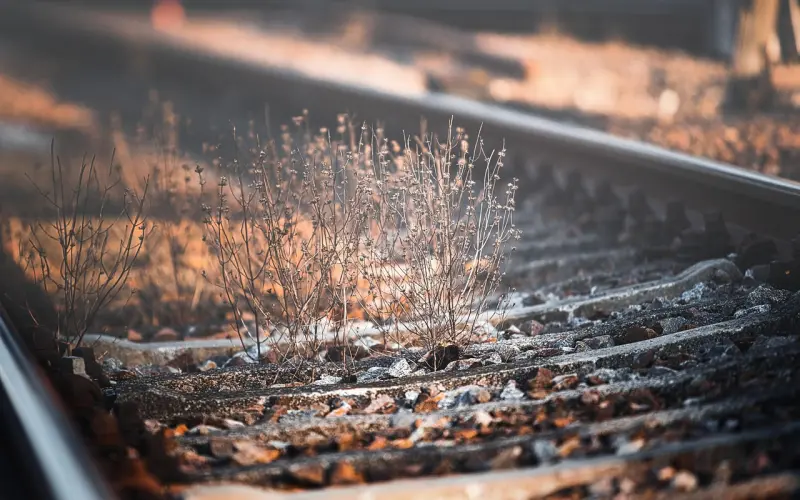 这些没用的事情能决定你们的情感浓度