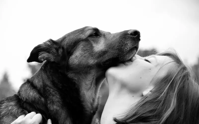 都说这样是渣男，可你连舔狗都不配