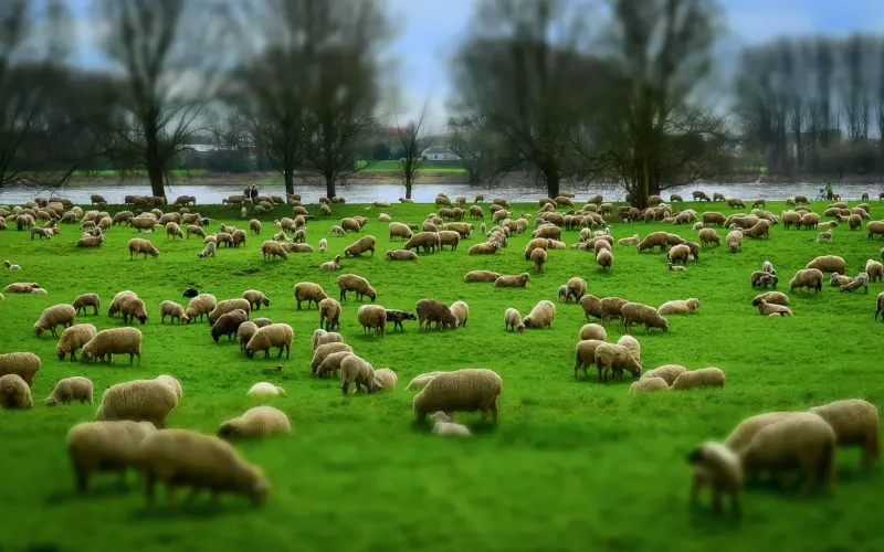 分手后第一次约会注意事项