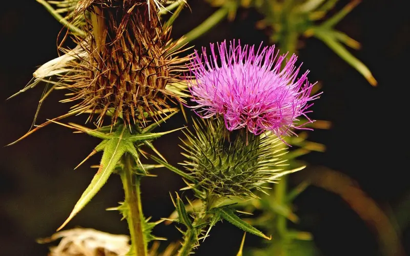 男生和女朋友同居时的注意事项！
