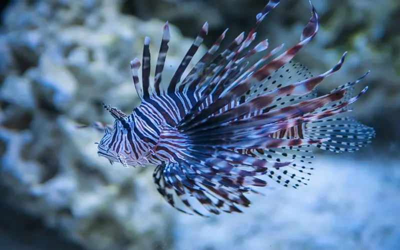 第三者：这算得上爱情？