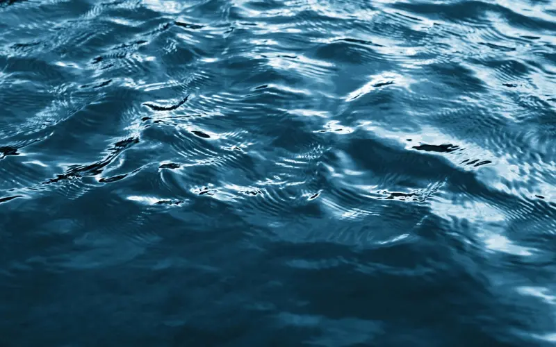 这个阿姨是个卧底——「全民情敌 · 55章」